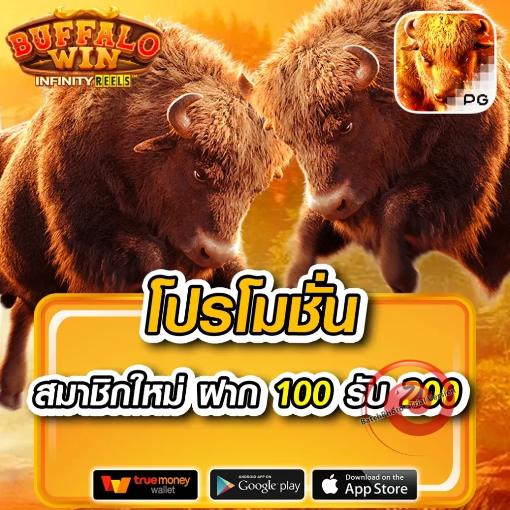 LEGAZY 88 thai